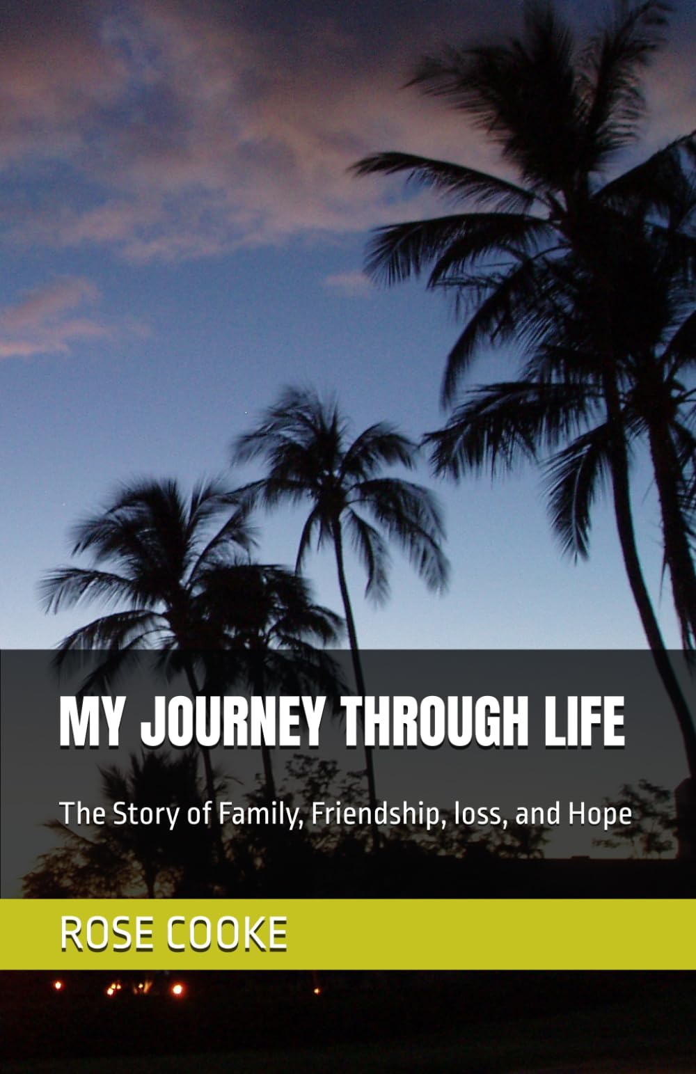 MY JOURNEY THROUGH LIFE: The Story of Family, Friendship, loss, and Hope