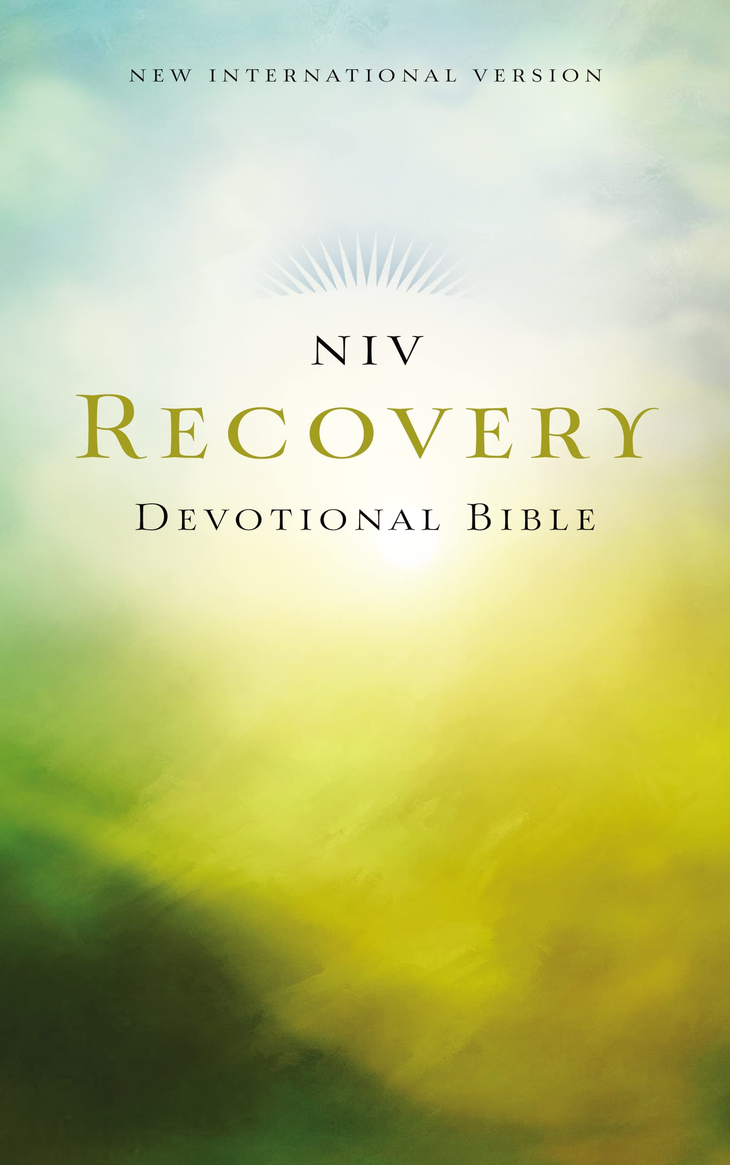 NIV, Recovery Devotional Bible, Paperback: Zondervan: 9780310440819: Amazon.com: Books