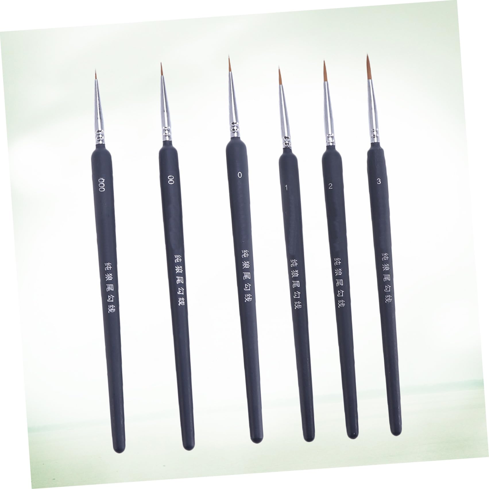 Homoyoyo Juego de 6 Pinceles para Acuarela de Pelo de Comadreja, Ligeros Plástico, Ideales para Estudiantes en Pintura Artística y Dibujo Detallado