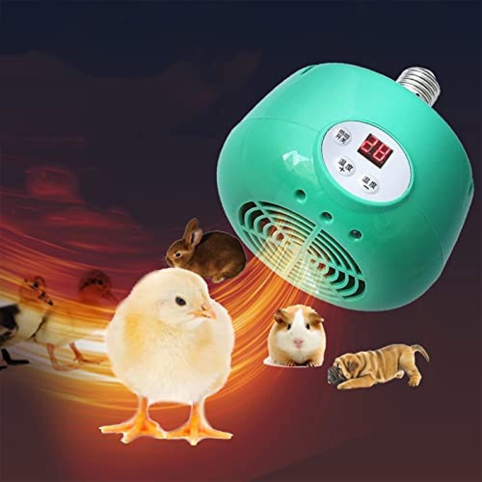 OUTS Lámpara De Calentamiento De Pollo De 300 W, Luz Cálida De Animales De Granja con Controlador De Temperatura, Lámpara De Calor De Reptil para Calentador De Gallinero De Tortuga Lagarto,Pleasant63