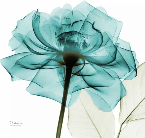 Posterazzi PDXAK5SQ359A3SMALL - Impresión fotográfica, 12.0 x 12.0 in, multicolor