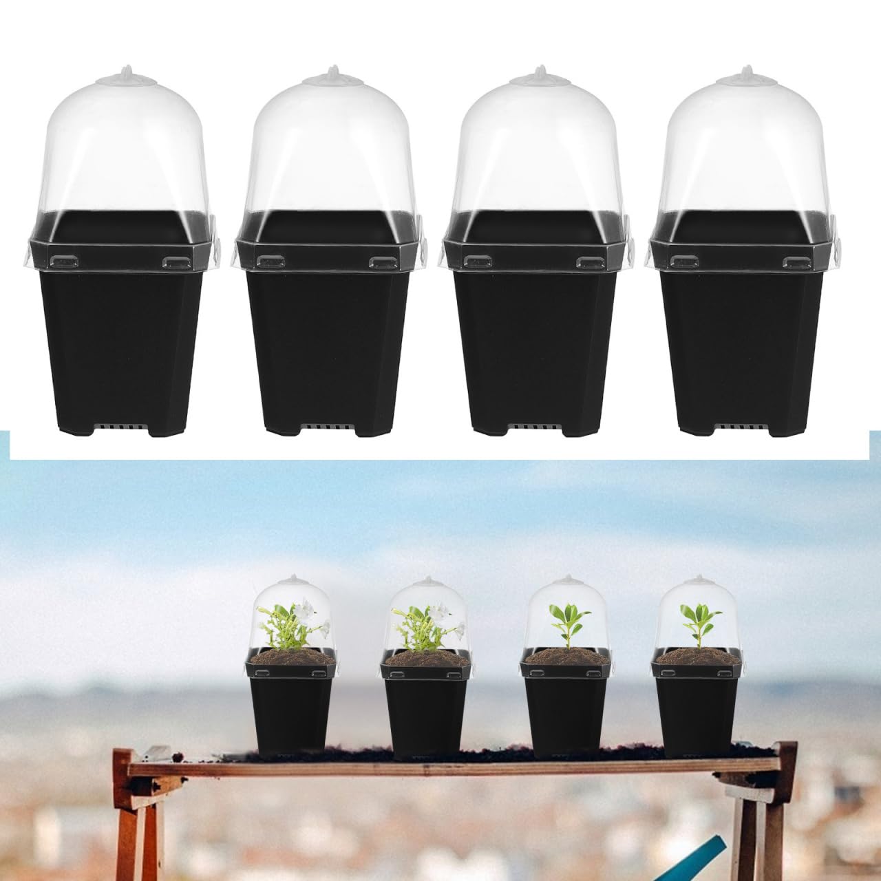 Juego de 10 Mini maceteros para Interior, con Tapa para Cactus, Plantas suculentas, alféizar de la Ventana, Invernadero, de plástico, para Plantas, sembrado y Hierbas ()