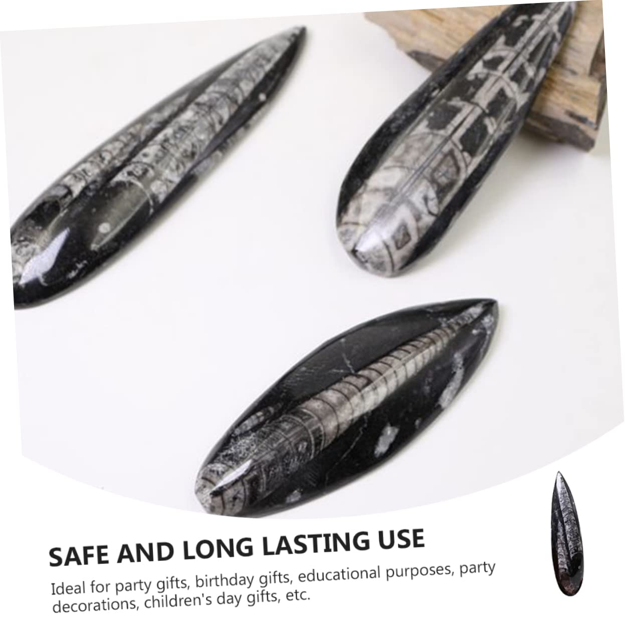 TOYANDONA Campione Fossile Orthoceras Paleo-oceano Naturale per Educazione Scientifica e Decorazione da Scrivania, Materiale Didattico per Paleontologia e Giocattolo Educativo per Ragazzo