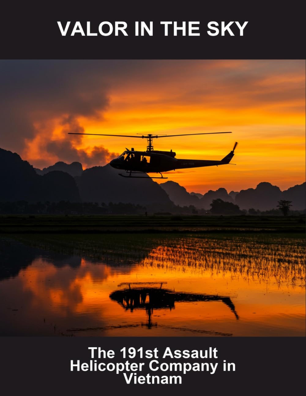 Valor In The Sky: The 191St Assault Helicopter Company In Vietnam