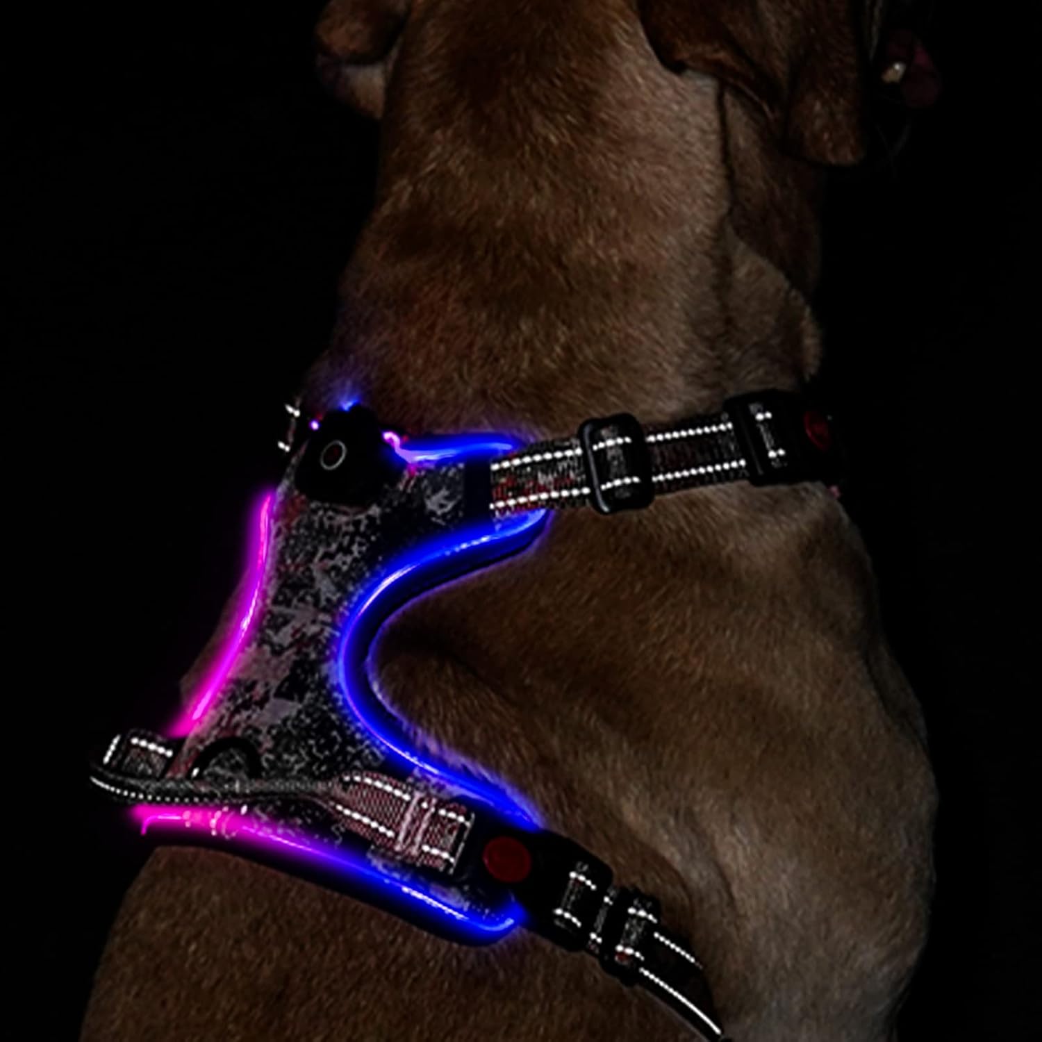 LED Light Up Dog Harness Reflective Adjustable Vest with