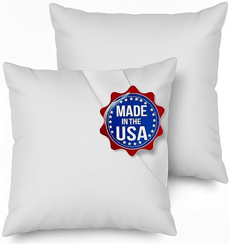 MSD Paquete de 2 rellenos de almohada de 28 x 28 pulgadas, hipoalergénicas, cuadradas, de poliéster blanco, relleno de almohada europea para sofá