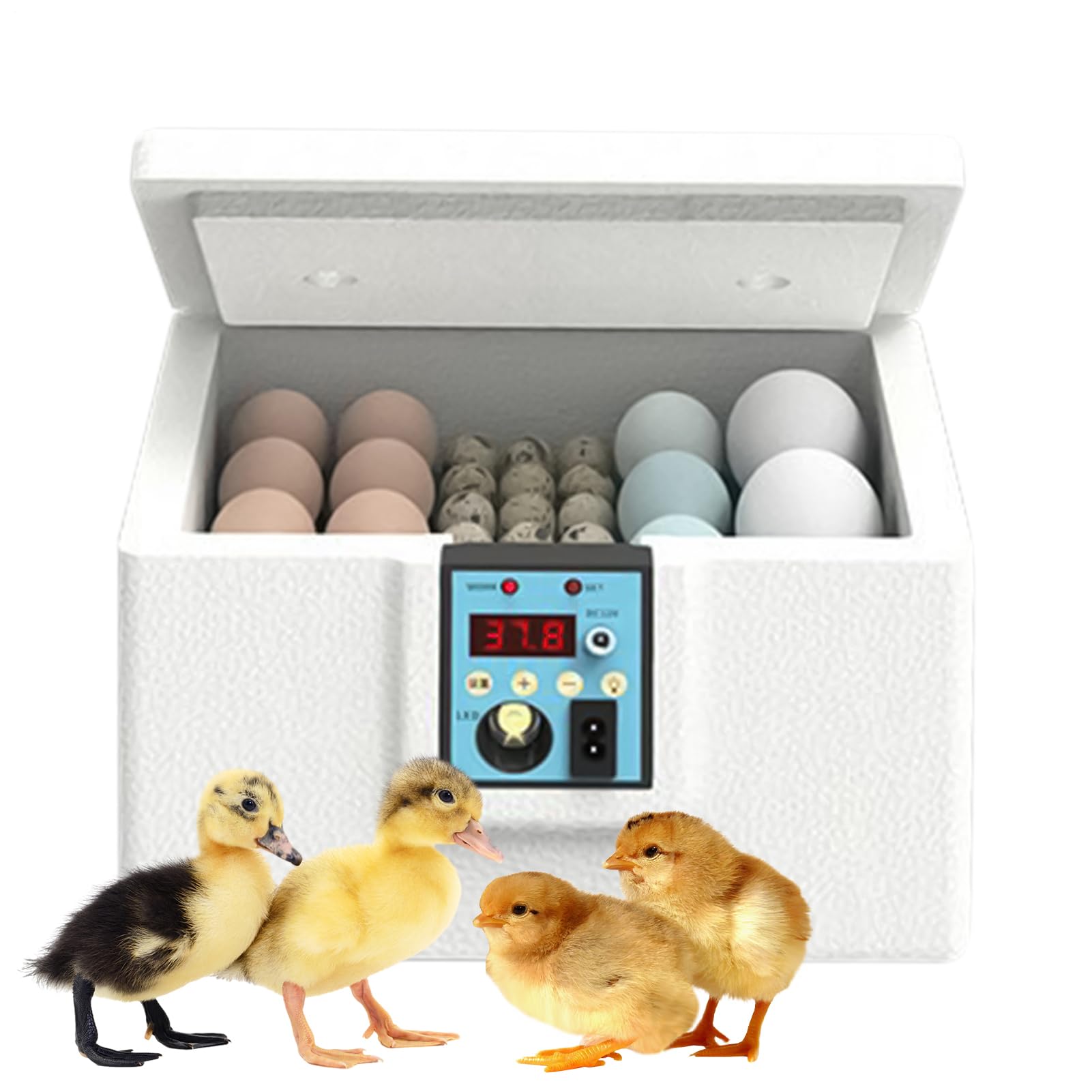 Incubadoras De Pollos para Huevos Fertilizados, Incubadora para Eclosionar Huevos con Luz para Velar, Incubadora con Control De Temperatura para Crianza Domestica De Gallinas Y Codornices