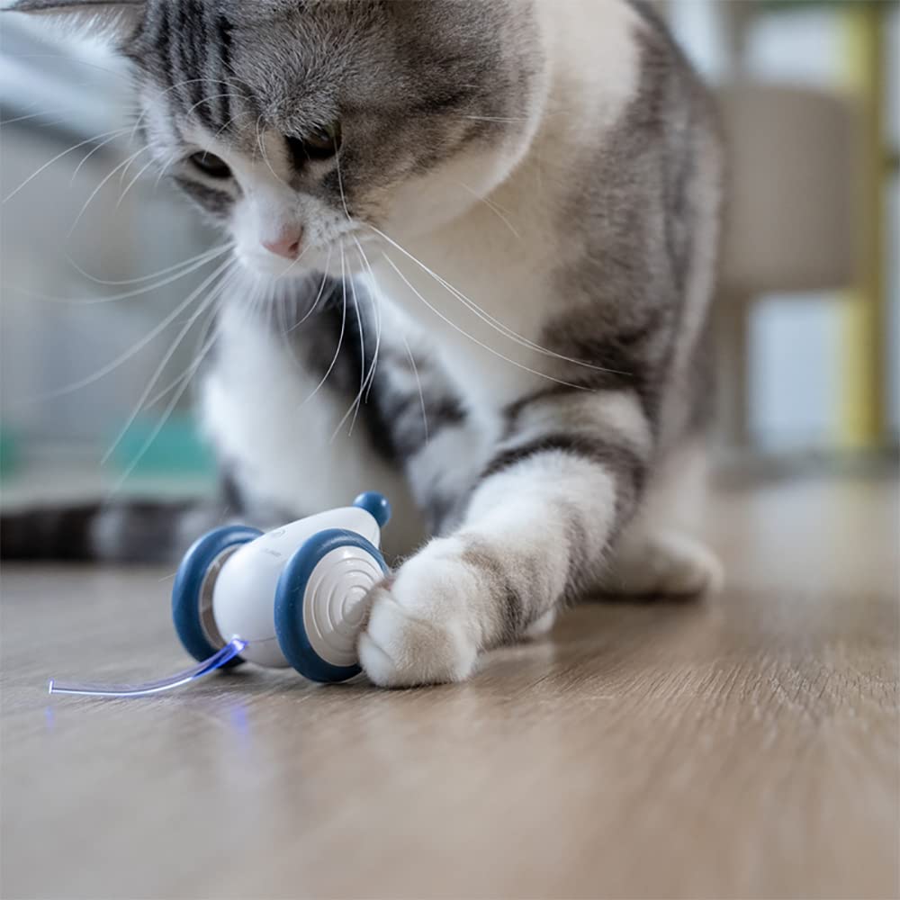 INF Ratón de juguete eléctrico para gatos, ratones de juguete para gatos con cable USB, ratón de juguete interactivo con cola ligera