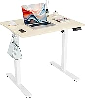 ERGOMAKER Electric Standing Desk 31.5x23.6 Height Adjustable Sit Stand Desk Home Office Memory Preset White Frame Gold Oak