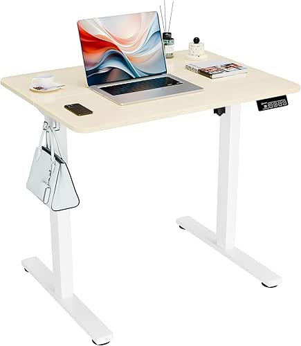 ERGOMAKER Electric Standing Desk, 31.5" x 23.6" Height Adjustable Sit