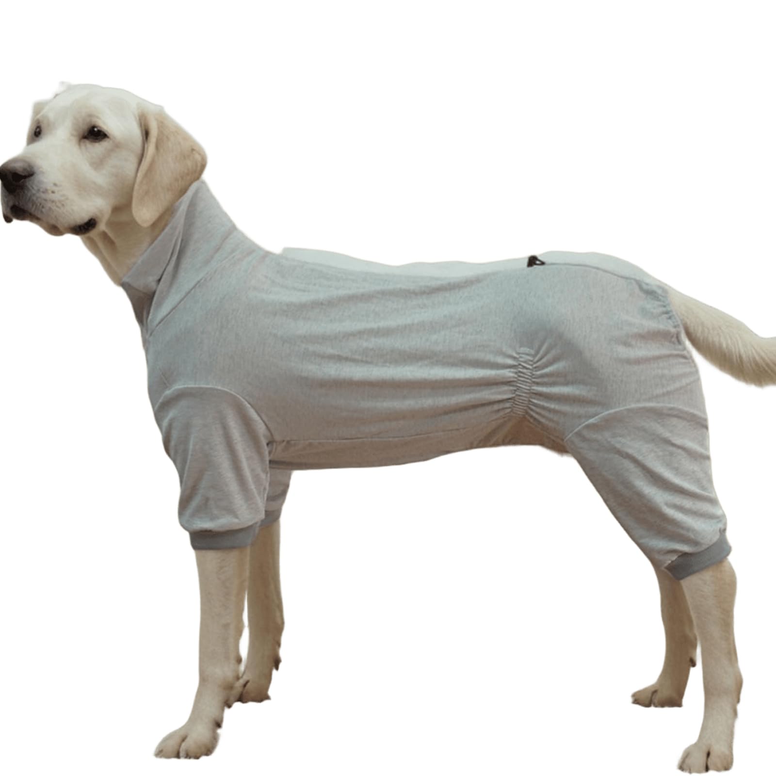 Onesie chirurgie chien contre le léchage : costume de récupération ajustable et doux