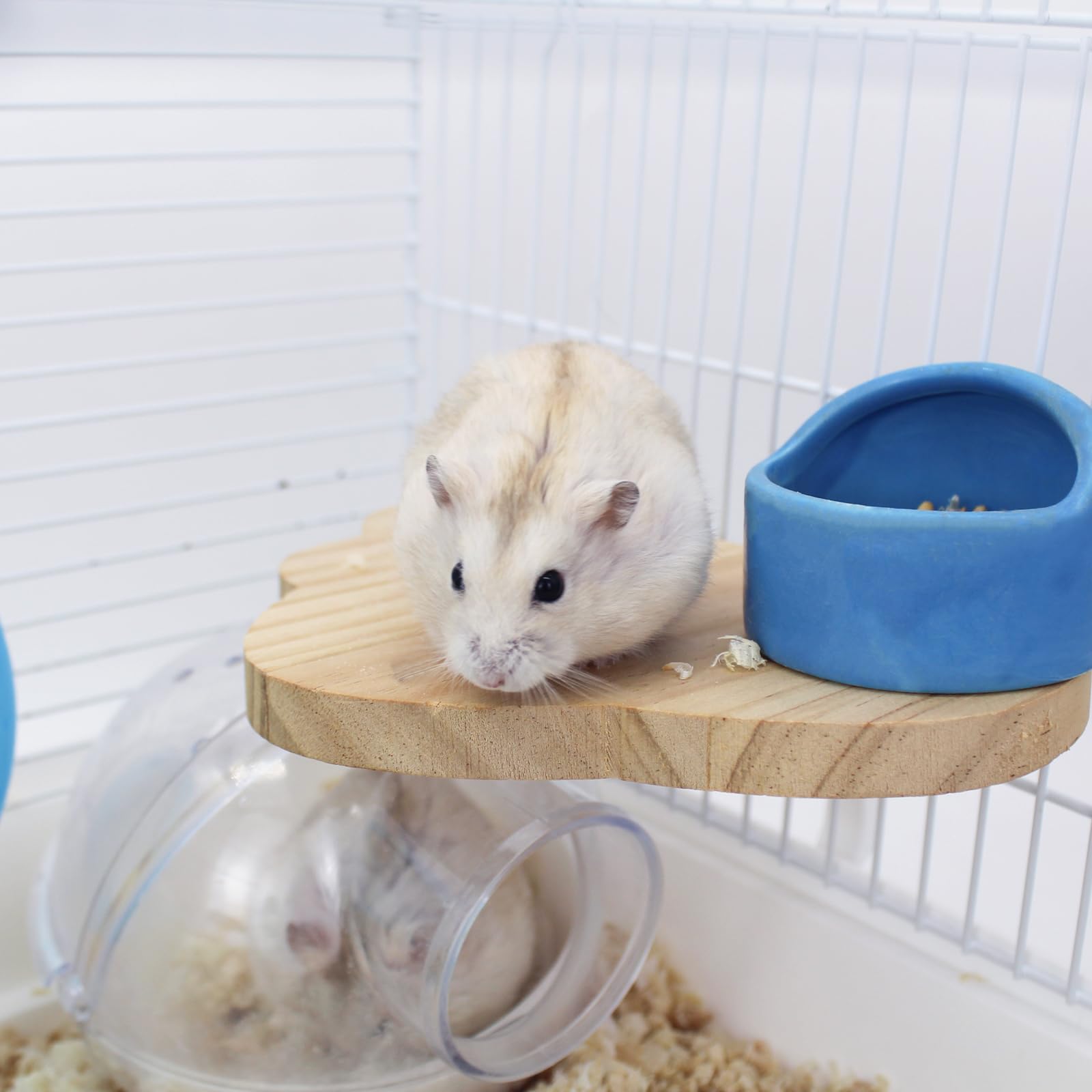 LuckyOpt Natural Wooden Hamster Platform, Cloud Shape Hamster Cage Platform Rest Play and Stand Climbing Platform, 18 * 12 CM Hamster Cage Accessories for Guinea Pig, Gerbil, Parrot, Mice (Cloud)