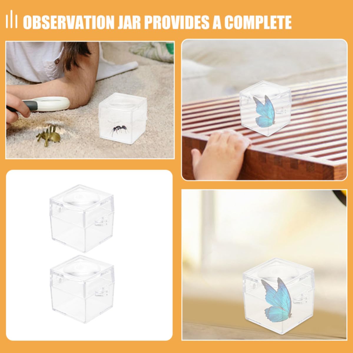12pcs Insect Observation Magnifier Container with 5X Magnification and High Transparency Abs Material Outdoor Exploring Magnifier Box for Science Education and Entomology