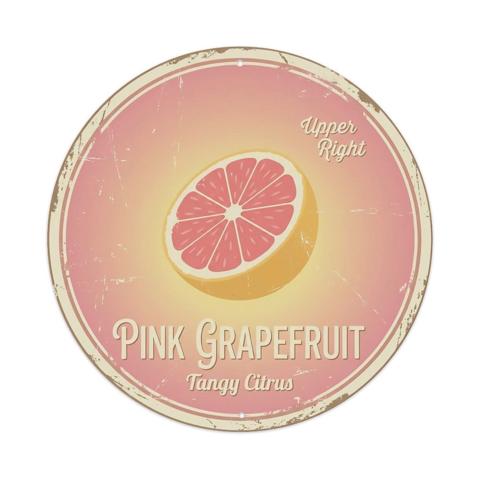 Cxhjca 8X8inch(20X20cm) Vintage Cottagecore Garden Grapefruit Pink Citrus Metal Tin Sign