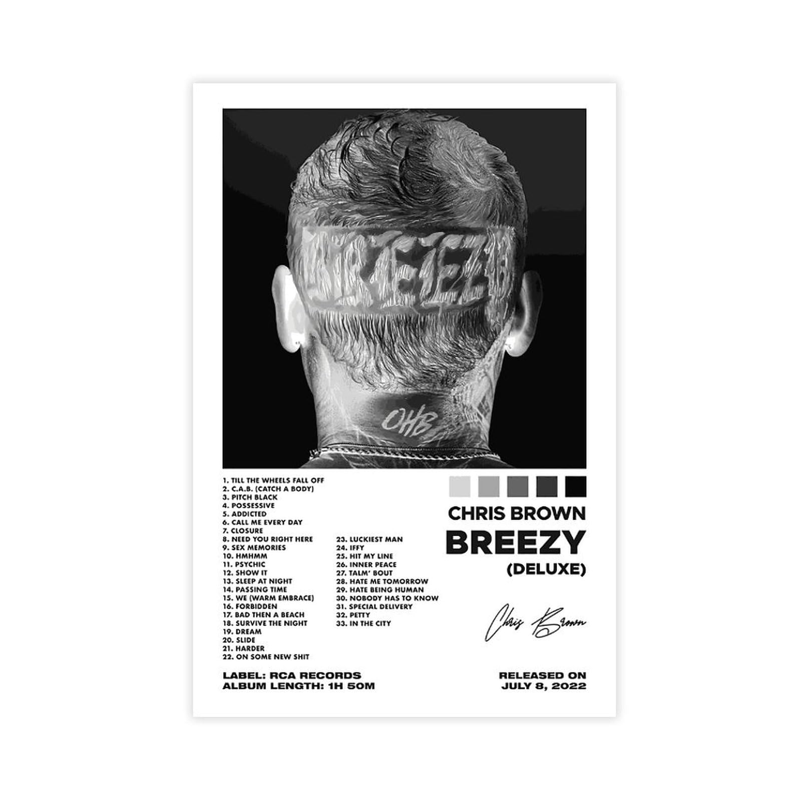 Poster Chris Brown Sur Toile - Décoration Murale 30 X 45 Cm - Pour Salon, Chambre - Impression Haute Qualité, Résistante - 7