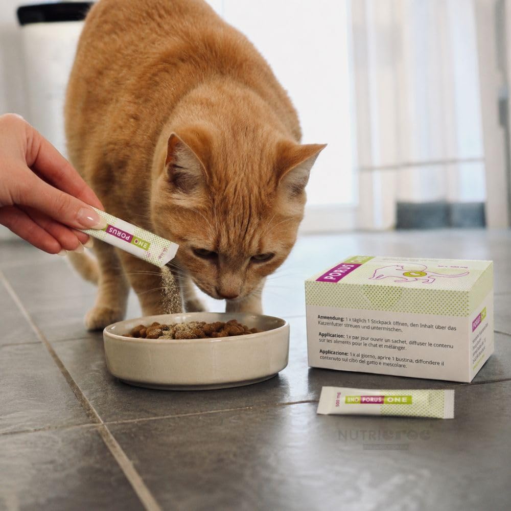 Porus One | 30 x 500 MG | Complément Alimentaire à Faible teneur en protéines | pour Chats souffrant de problèmes rénaux | pour réduire l'augmentation des toxines urémiques