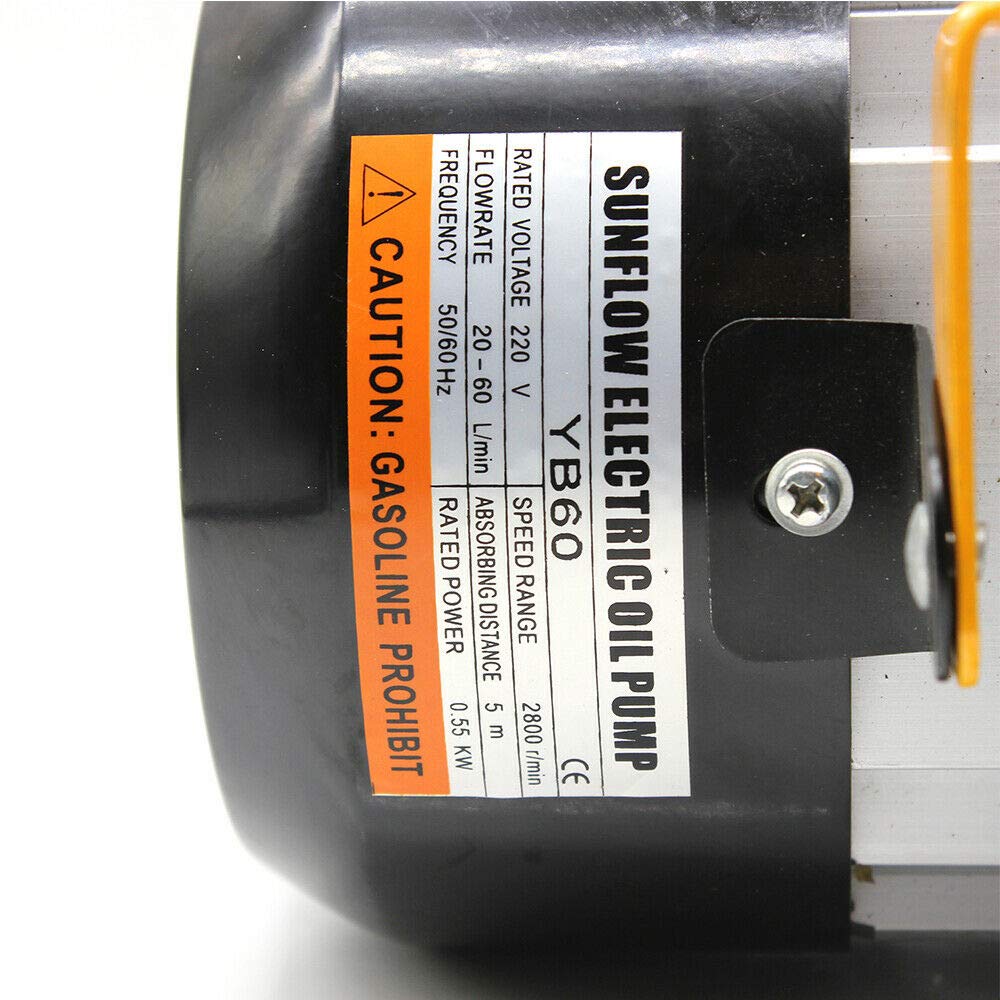Pompa diesel 230V pompa per olio combustibile autoadescante pompa carburante diesel stazione di servizio pompa aspirazione olio 60L/min 2800 giri/min