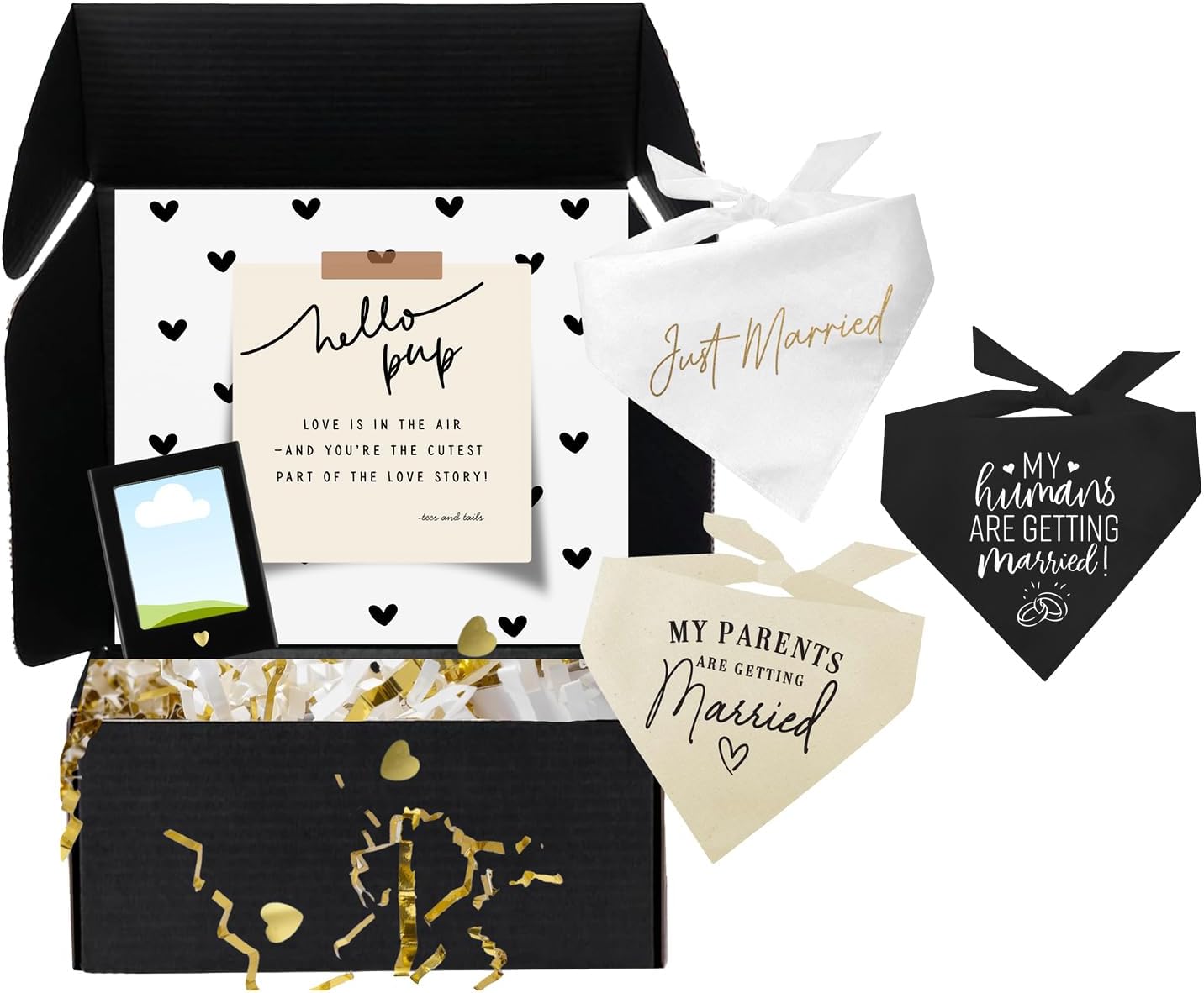 Dog Bridal, Wedding Gift Box – 3 Cotton Bandanas (My Parents are Getting Married, Just Married, My Humans are Getting Married) & Magnetic Photo Frame 2.5" x3,5 |Black, One Size (224)