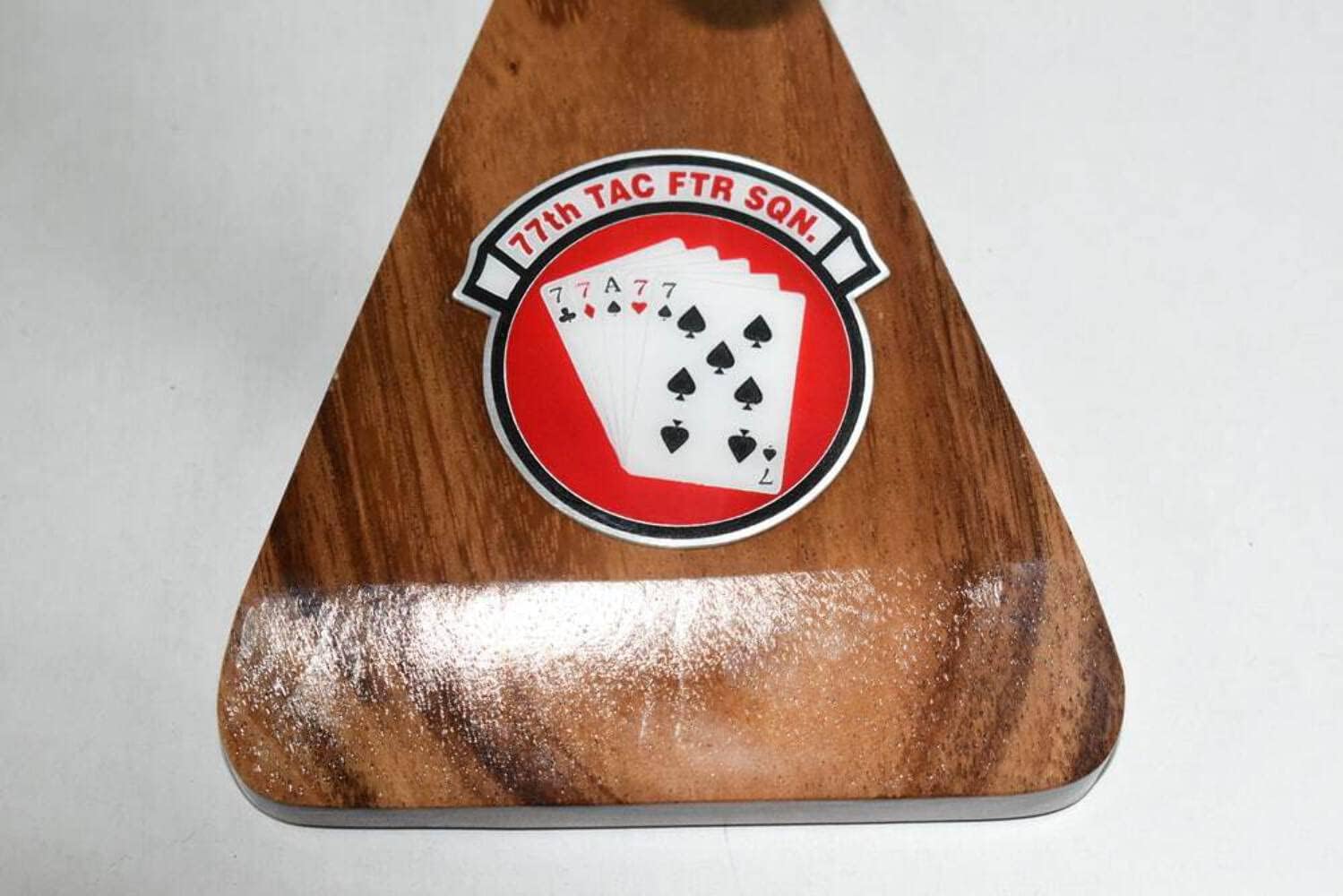 77th FS The Gamblers F-111E Model