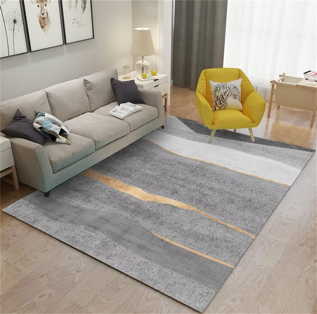 Tapis de Salon Gris Minimaliste 100x150CM Moderne en Sol Tapis Doux pour Bureau