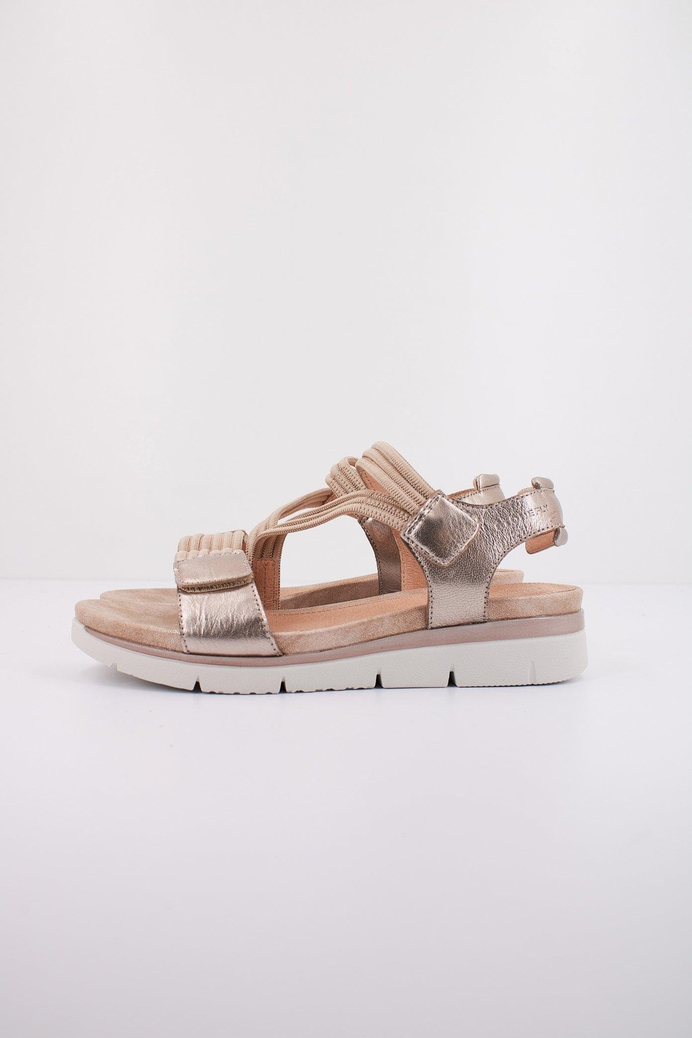 Stonefly Elody 23 Elastic