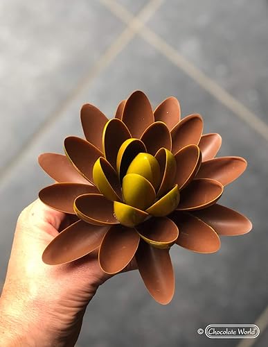 Miniatura 3 de Molde de policarbonato para chocolate de 1950, con lente ovalada, con 14 cavidades, cada una de 2.461 in x 0.886 in x 0.472 in de alto