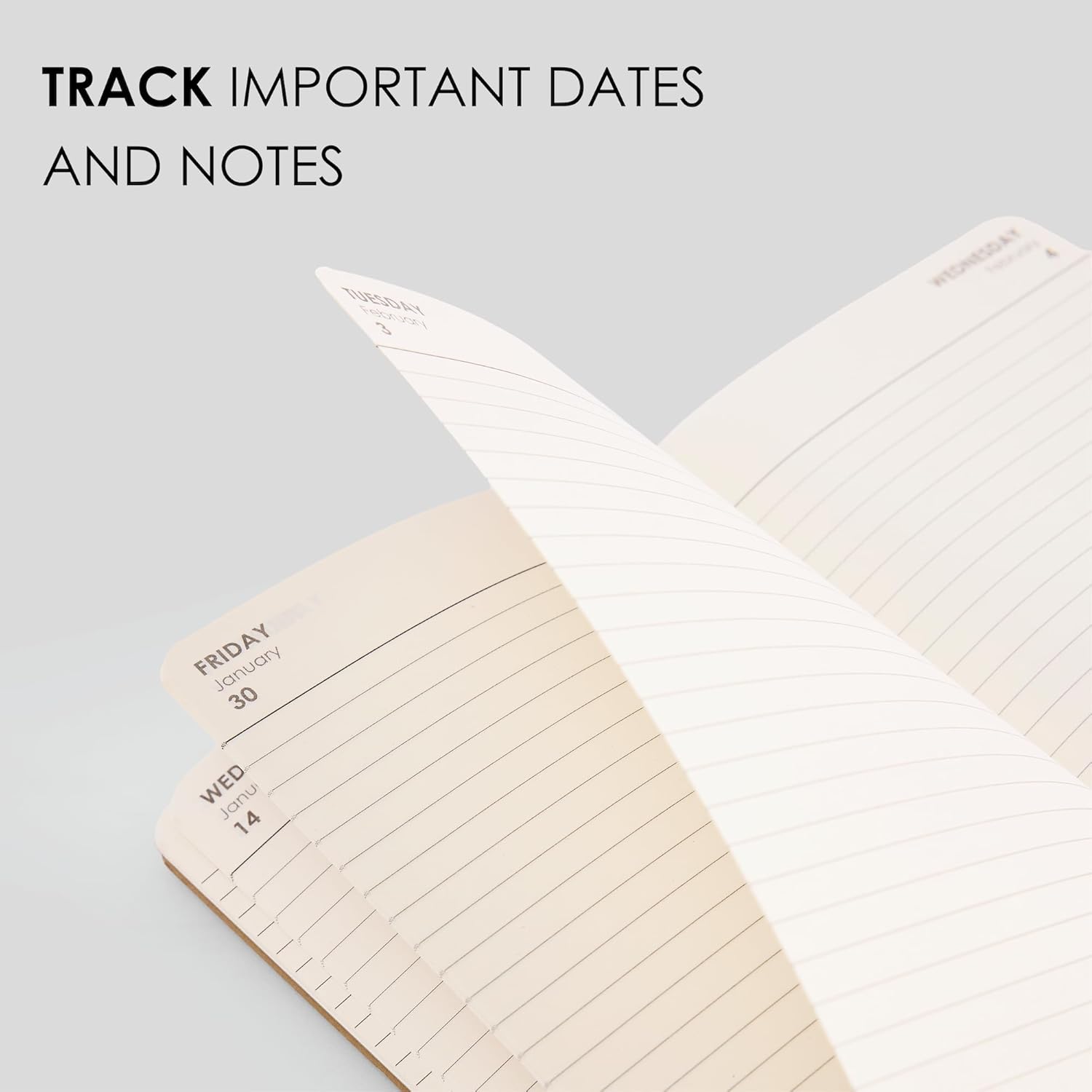 myPAPERCLIP 2026 Daily Planner Dated | Soft Cover, 384 Pages, 80 GSM, Medium (5 x 8.25 in) | Flat Lay | Bookmark & Elastic Closure | Raspberry