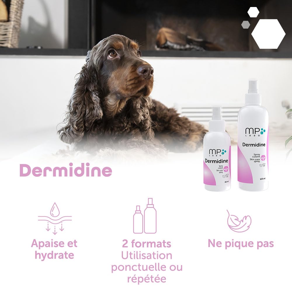 MP Labo Dermidine - Spray pour l'Hygiène Cutanée pour Chien et Chat à Base de Calendula et de Centella Asiatica pour Un Effet Calmant, Emollient et Hydratant (125 ML)