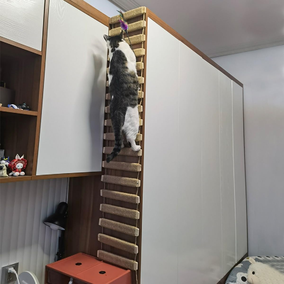 Pont d'échelle pour chat pour mur, cadre d'escalade, corde d'escalade pour chat, jouets, arbre à chat d'extérieur, corde en sisal, cadre d'escalade, meubles pour animaux de compagnie (A, 100 cm, 1)