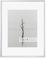 Vista 605 de Fun Memories Portarretratos de metal de 16 x 20 pulgadas con paspartú de 11 x 14 pulgadas, acabado de aluminio cepillado, parte delantera de vidrio