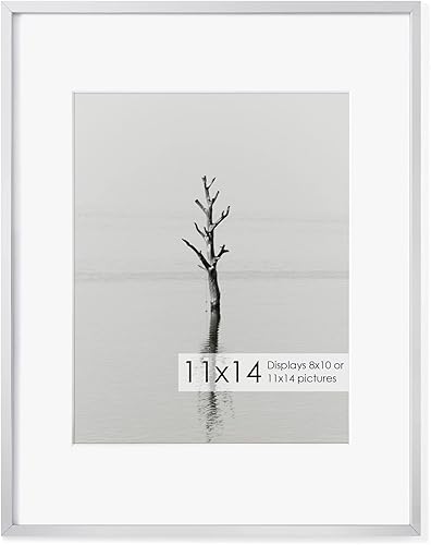 Miniatura 605 de Fun Memories Portarretratos de metal de 16 x 20 pulgadas con paspartú de 11 x 14 pulgadas, acabado de aluminio cepillado, parte delantera de vidrio