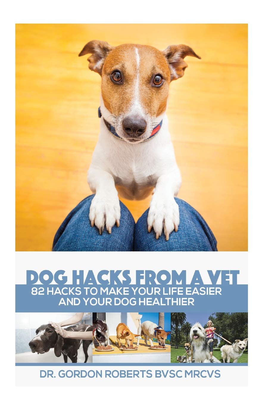 What Makes A Dog Hack