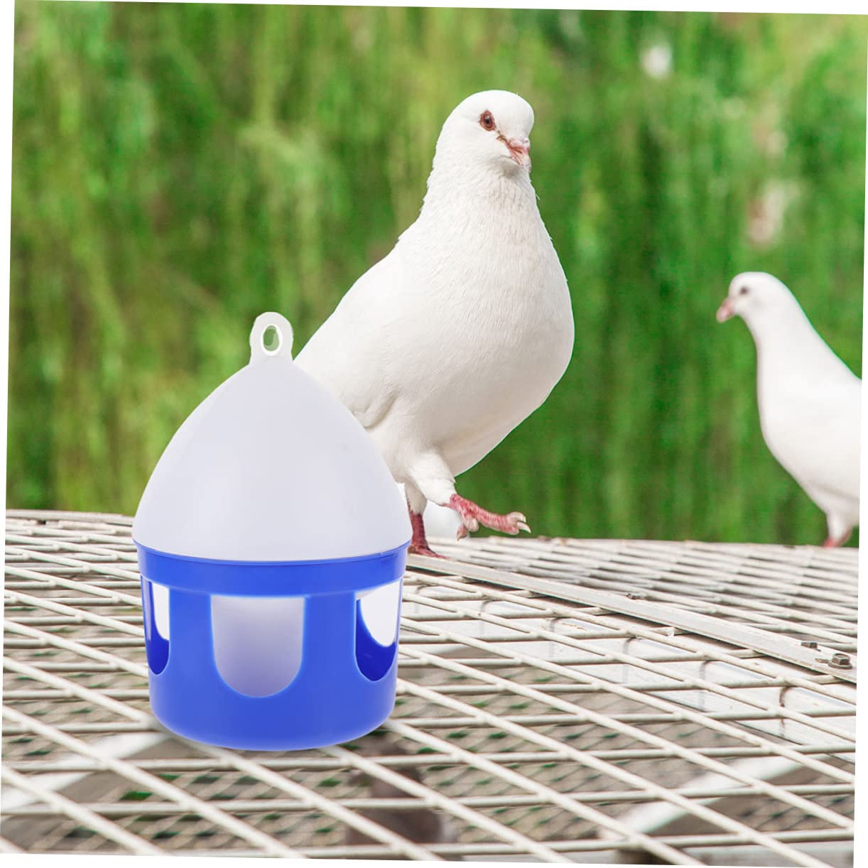 Abreuvoir Portable pour Pigeons 2 Pièces 2l en PVC | Démontable et Réutilisable, Nettoyage Facile, Lot de 2, pour Grive et Oiseau