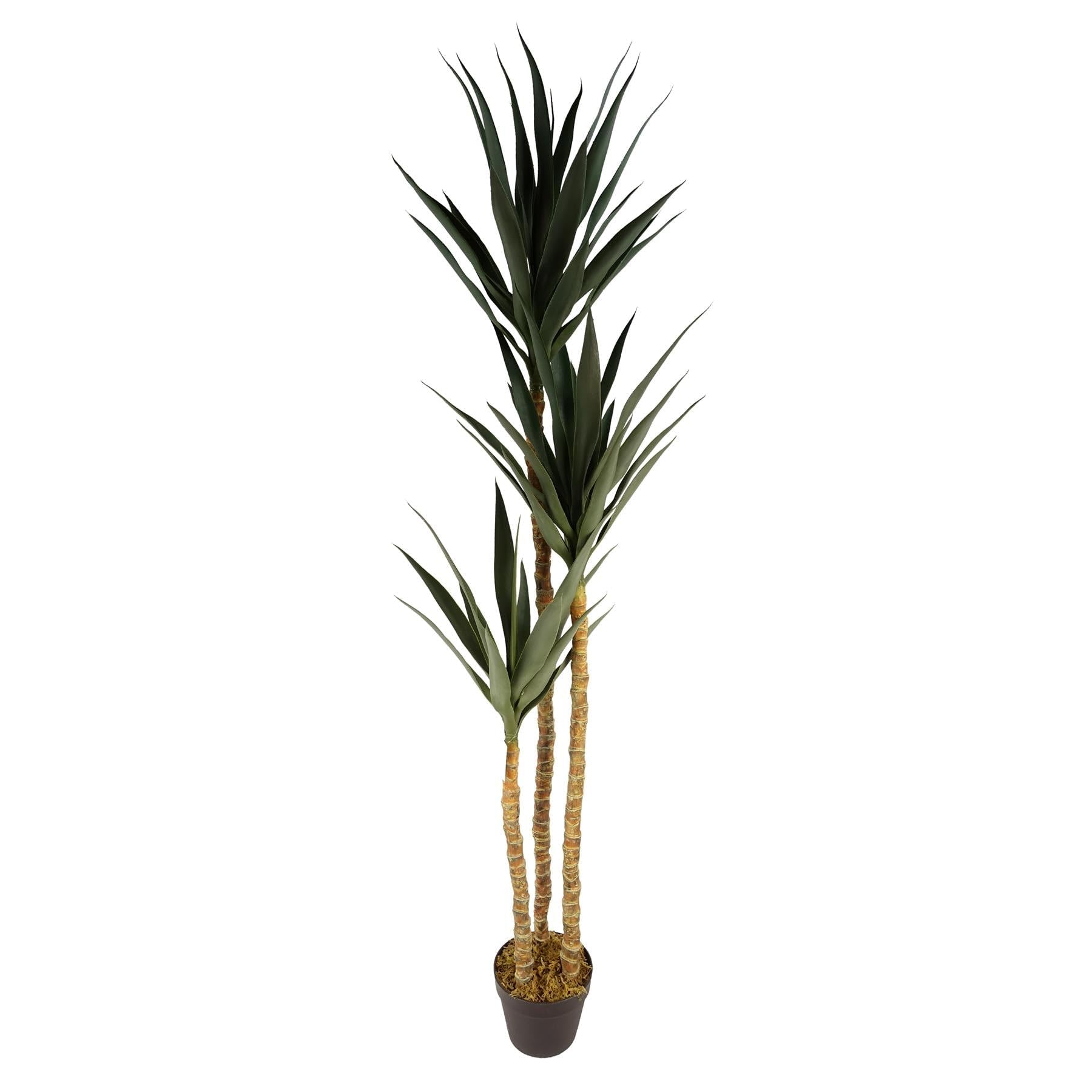 Leaf Design UK Artificial Yukka Tropical House Plant