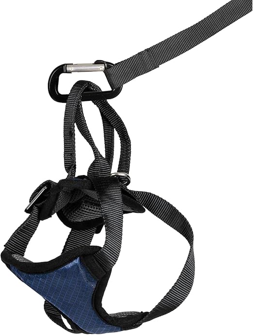 PetSafe Happy Ride Dog Safety Harness for Cars - Dog Car Harness Includes Seat Belt Tether - Keeps Pets Restrained - Breathable Mesh, Adjustable Straps - Dog Travel Accessories for Car - Small