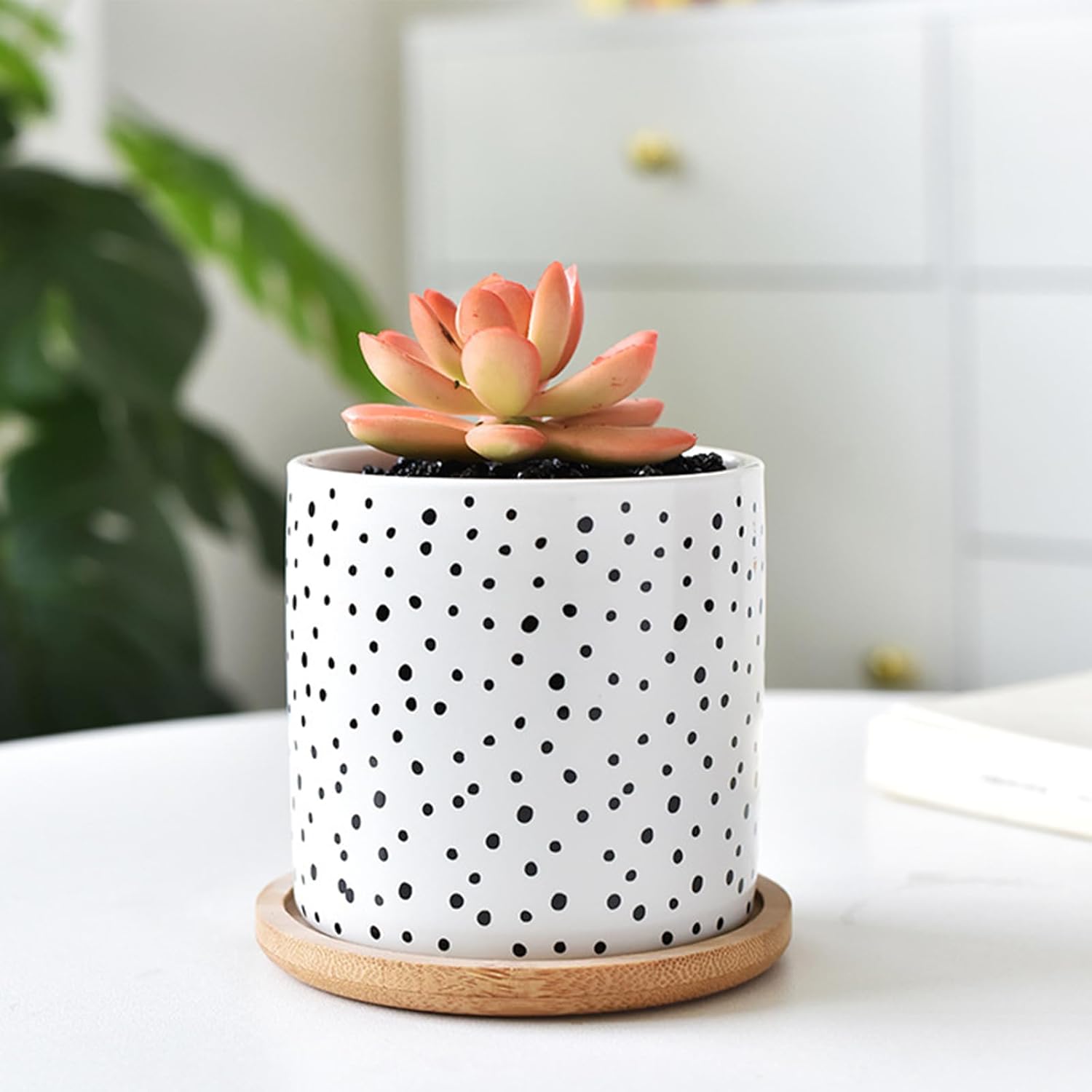 Succulent Pots, 3.5 Inch Small Succulent Planters with Drainage for Plants Live, Hand-Painted Ceramic Pot Flower Pots Bonsai Pots with Bamboo Tray, Unique Gifts for Women/Men, 4 Pack (Geometry)