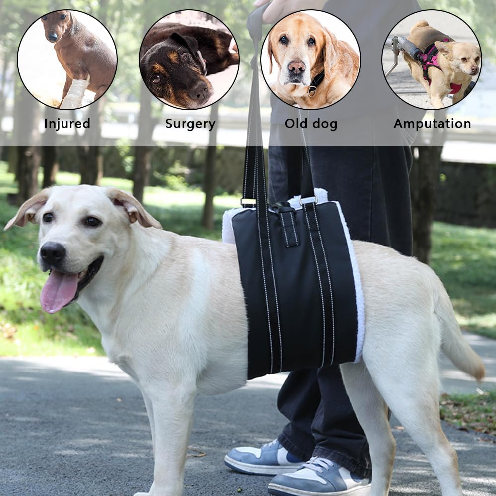 Imbracatura Cani Imbracatura Zampe Posteriori Regolabile Ripristinare la Debolezza Nella Gamba Posteriore per Sostenere Cani Anziani Feriti e Disabili (Nero, L)
