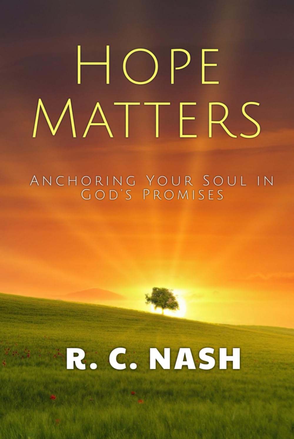 Hope Matters: Anchoring Your Soul in God’s Promises (Things Matter)