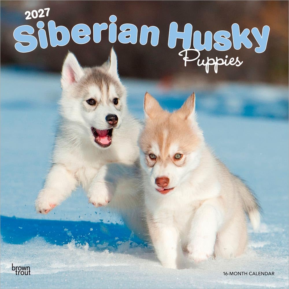 Siberian Husky Puppies - Siberian Husky Welpen 2027 - 16-Monatskalender: Original BrownTrout-Kalender [Mehrsprachig] [Kalender] (Siberian Husky ... | BrownTrout | Animal Dog Breeds)