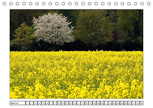 Am Niederrhein. Der Altkreis Moers (Tischkalender 2018 DIN A5 quer): Außergewöhnliche Bildauswahl mit starker Wirkung (Monatskalender, 14 Seiten ) (CALVENDO Orte)