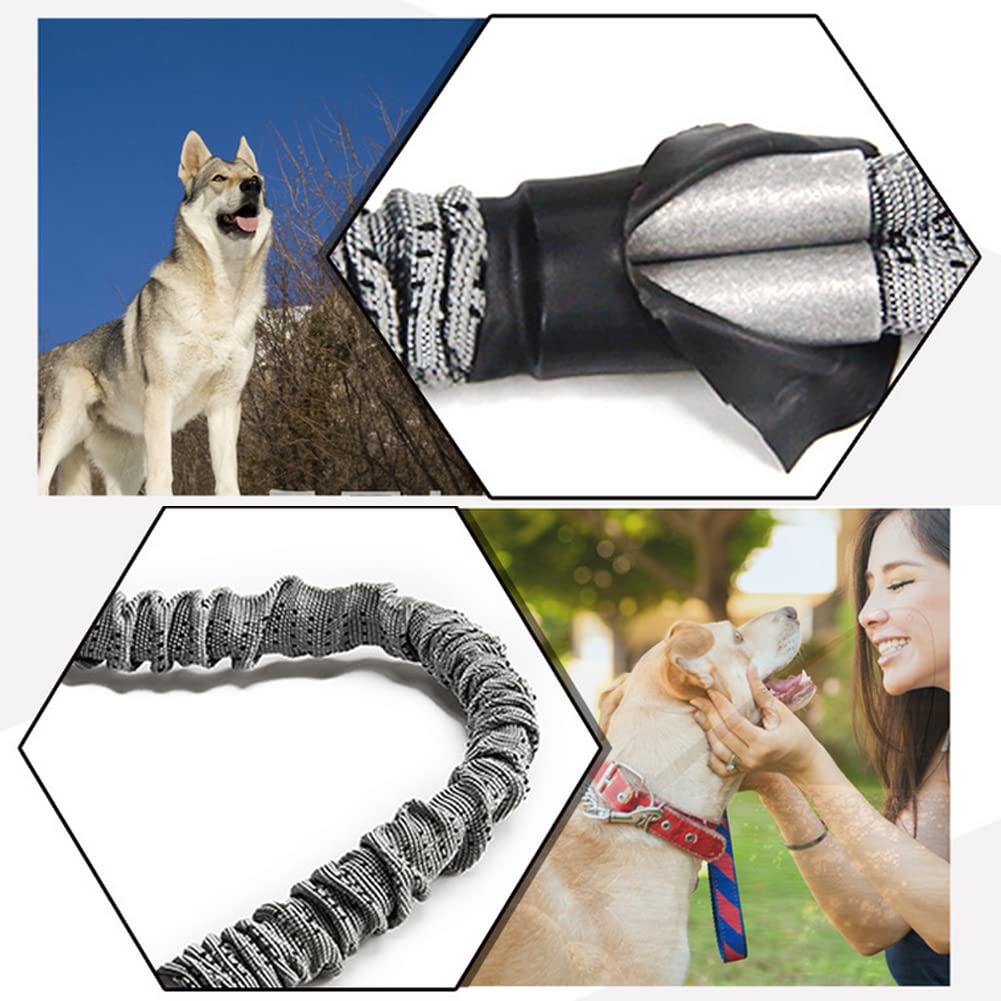 WDDT Laisse Chien Élastique, en Nylon, Corde Solide Anti Traction ​Grande Taille, Élastique pour Animaux Compagnie, avec Poignée Rembourrée, Chiens Grands et Petits