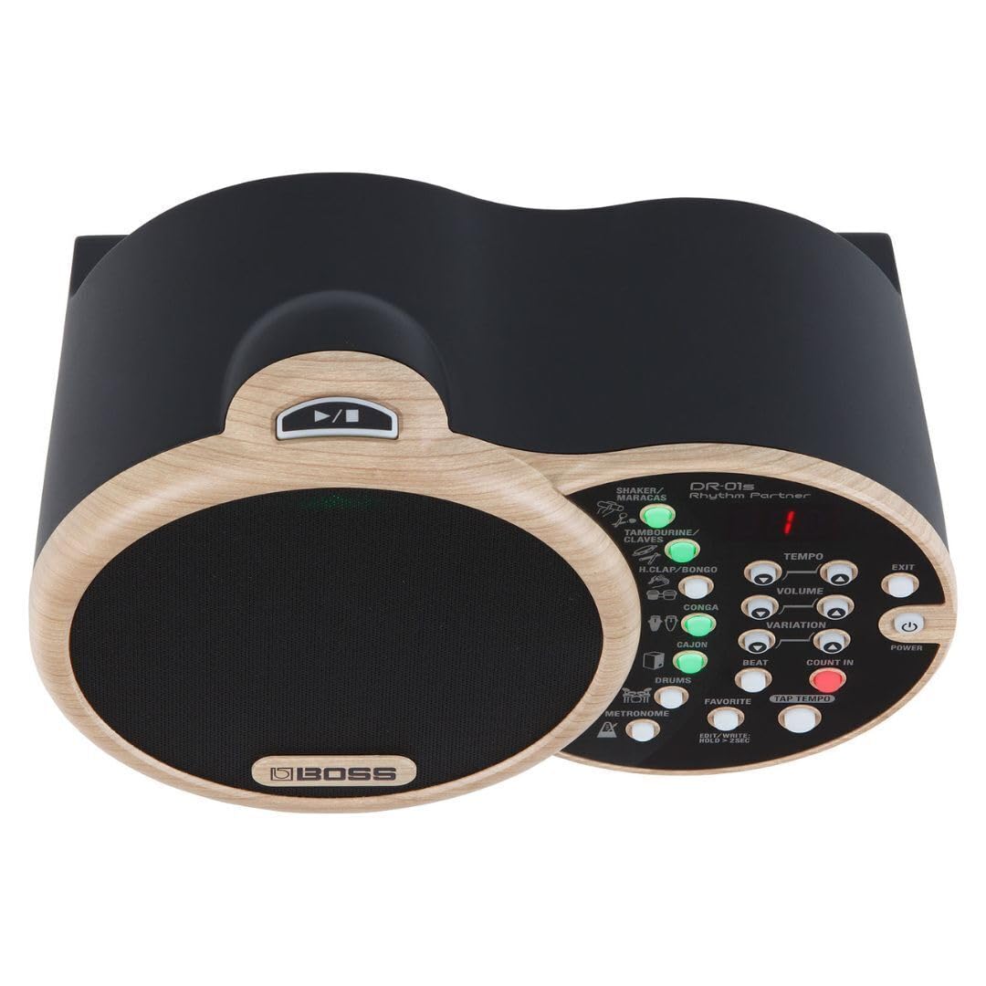 BOSS DR-01S Rhythm Partner für akustische Musiker – Begleiter für akustische Gitarre und Vocals