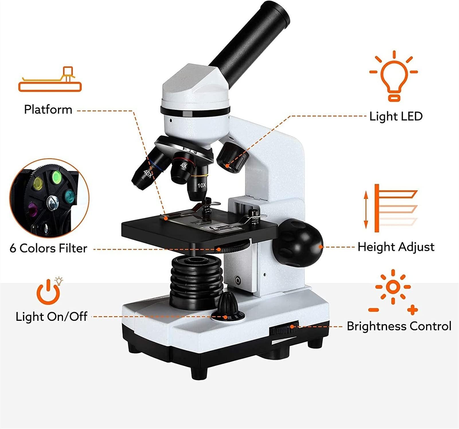 40-1600X Microscopi for i Bambini Studenti Adulti Potente Formazione biologici Microscopi con scivoli Set Adattatore telefonico