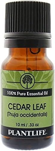 Vista 12 de Plantlife Aceite esencial de aromaterapia de alcaravea, directamente de la planta, 100% puro, grado terapéutico, sin aditivos ni rellenos, 0.3 fl oz