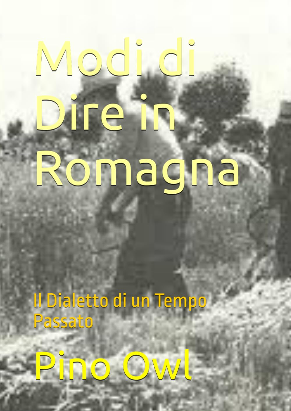 Modi di Dire in Romagna: Il Dialetto di un Tempo Passato (L'esperienza viene trasformata in conoscenza)