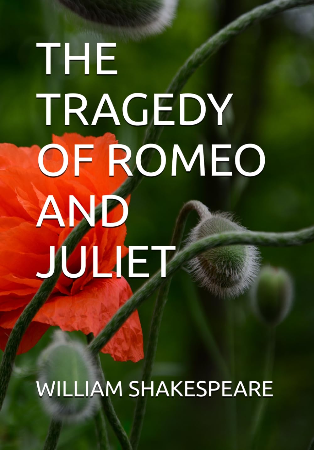 THE TRAGEDY OF ROMEO AND JULIET