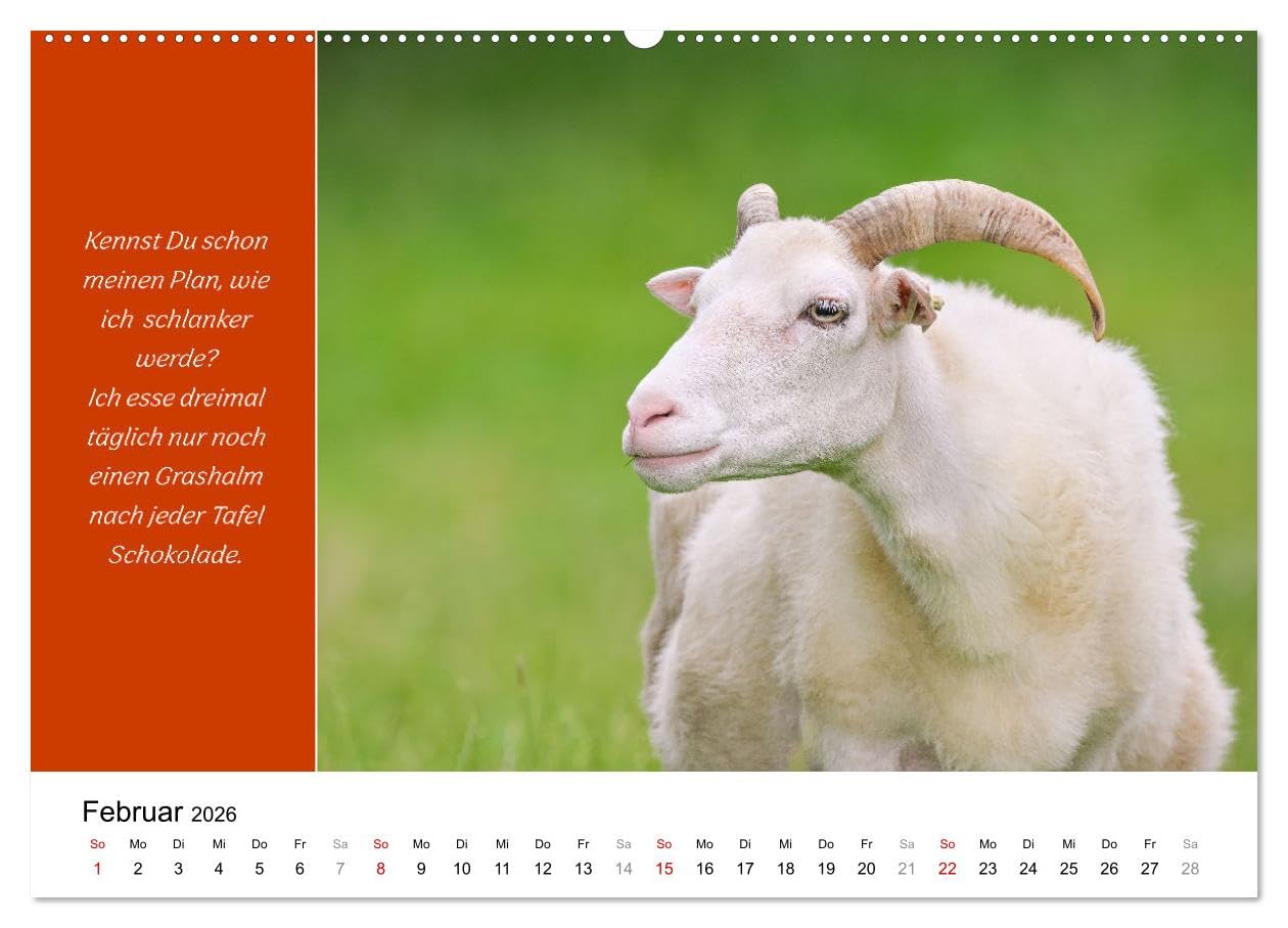 Tiere und feiner Humor (hochwertiger Premium Wandkalender 2026 DIN A2 quer), Kunstdruck in Hochglanz: Tiere in schönsten Bildern mit lustigen Sprüchen. (CALVENDO Spass)
