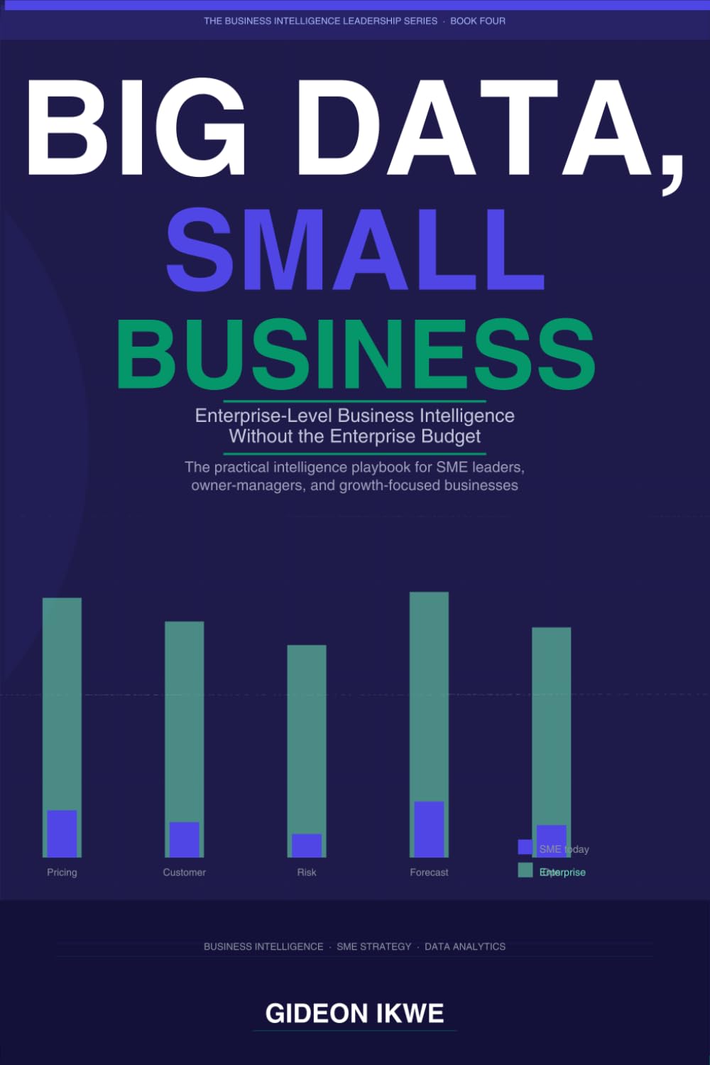 BIG DATA, SMALL BUSINESS: Enterprise-Level Business Intelligence Without the Enterprise Budget: 4 (THE BUSINESS INTELLIGENCE LEADERSHIP SERIES)