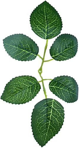 Sarkoyar Hojas de rosa 20 piezas prácticas DIY pastel decorar hojas de rosa falsas verde