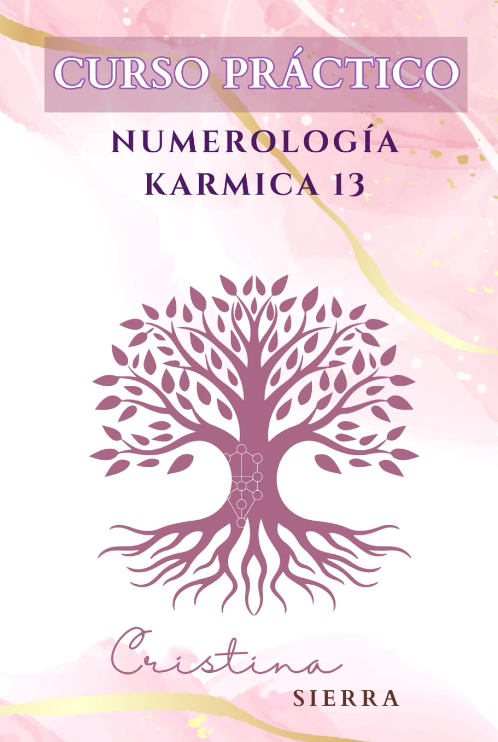Numerología karmica 13: Curso práctico